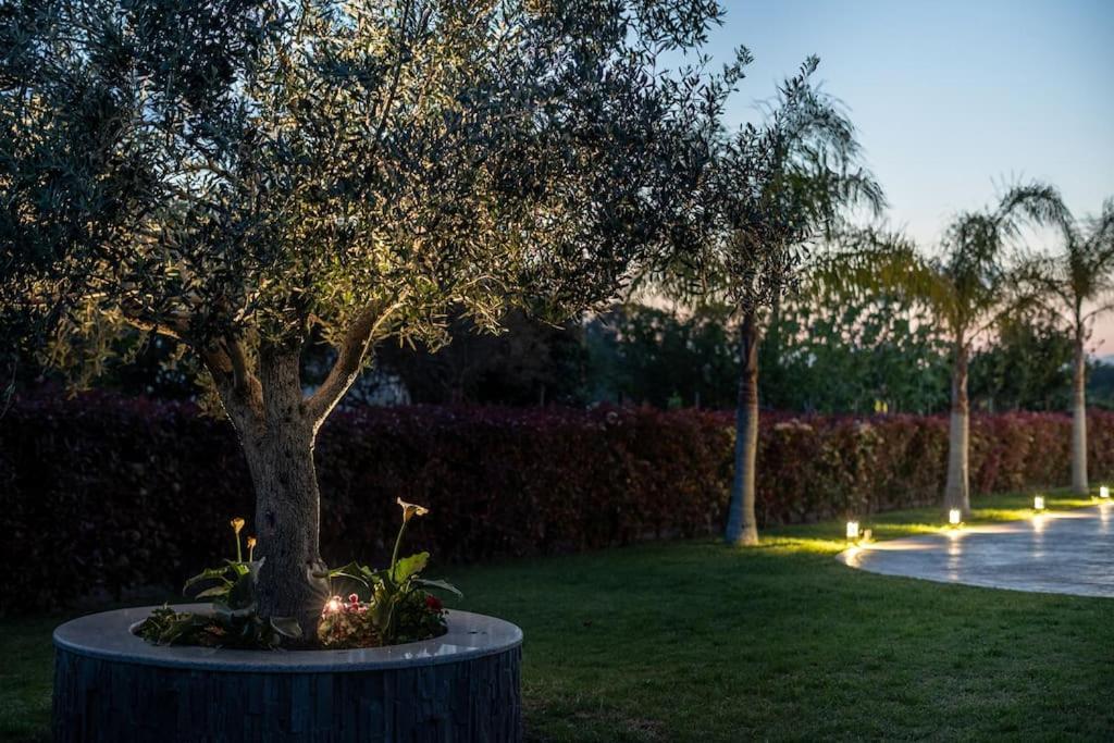 "Aeolos" Luxury Villa Preveza Eksteriør bilde